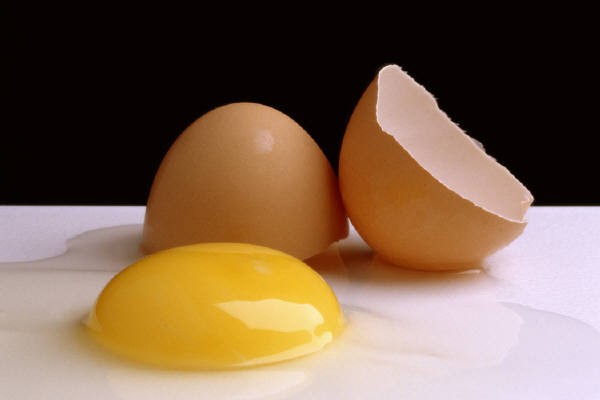 590-egg.jpg