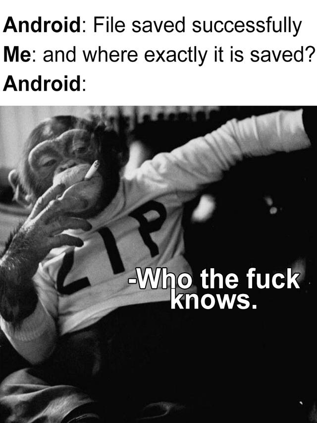 Android saves files to who the fuck knows.jpg