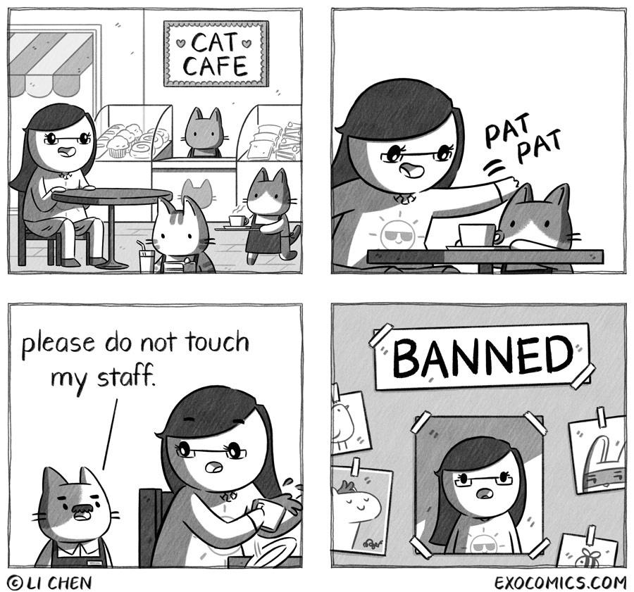 Banned from the Cat Cafe.jpeg