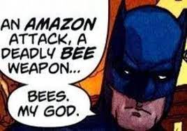 Batman deady bee weapon bees my god.jpg