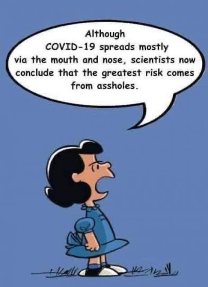 Biggest COVID risk is from assholes.jpeg