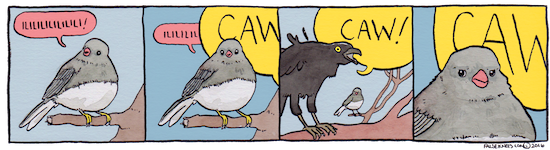 birdbrain.png