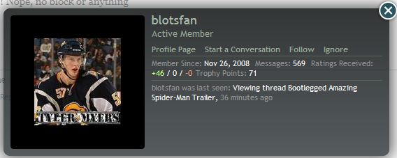 blotsfan info box.JPG