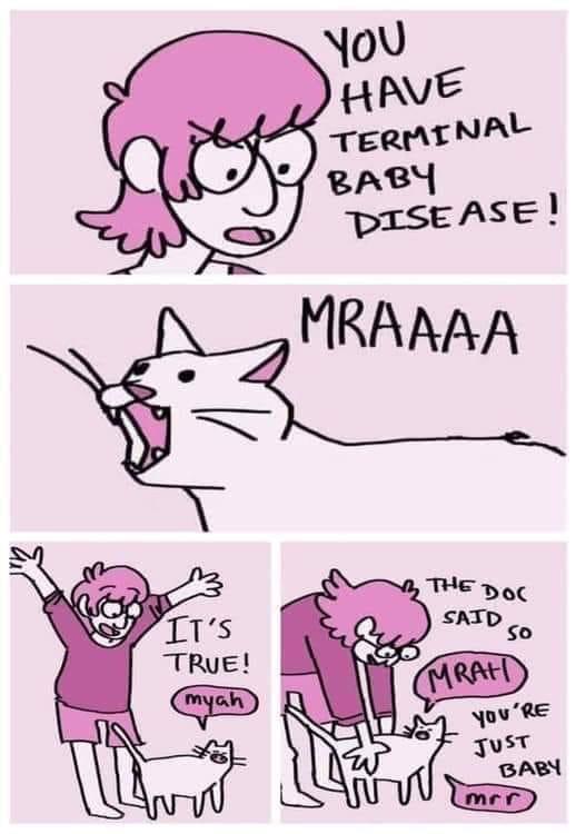 Cat has Terminal Baby disease.jpeg