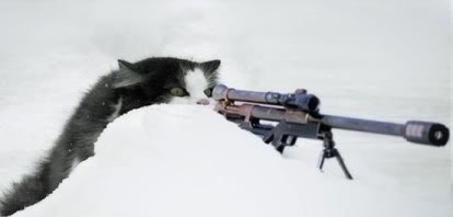 cat_sniper_snow.jpg