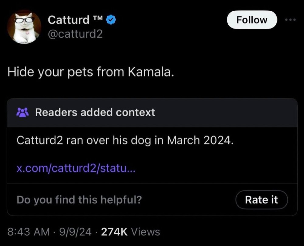 Catturd ran over his dog.jpg