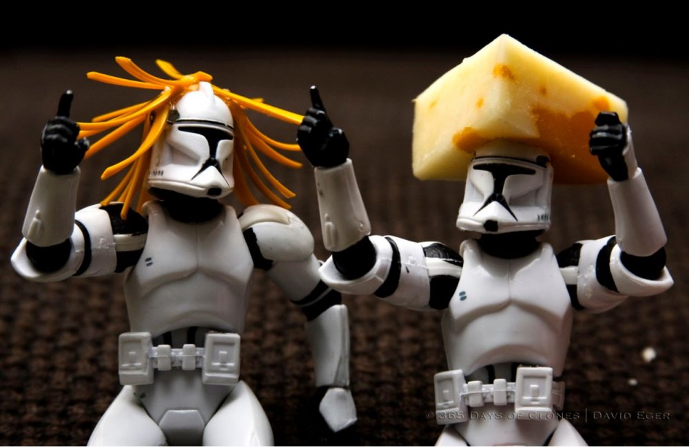 cheesehead.jpg