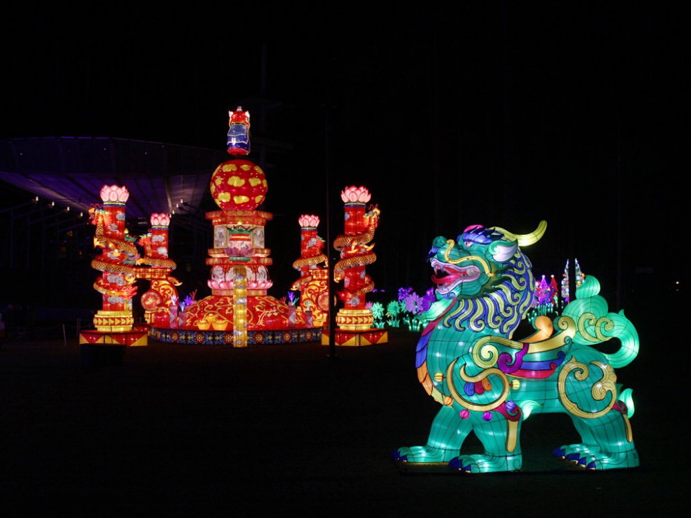 chinese lanterns 2017-11-26-05.jpg