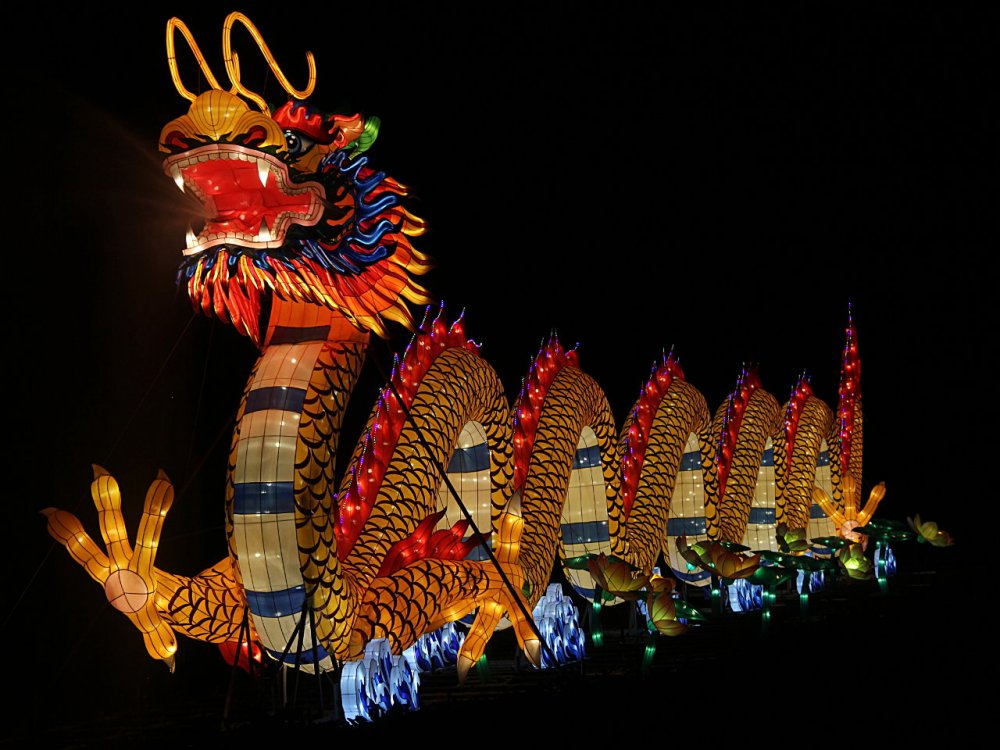 chinese lanterns 2017-11-26-09.jpg