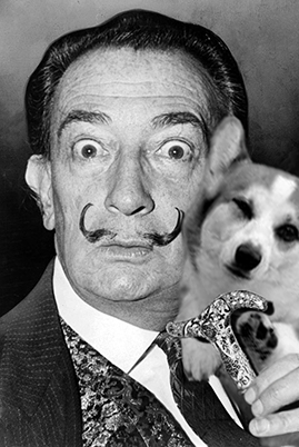 Cool Corgi & Salvador Dalí.jpg