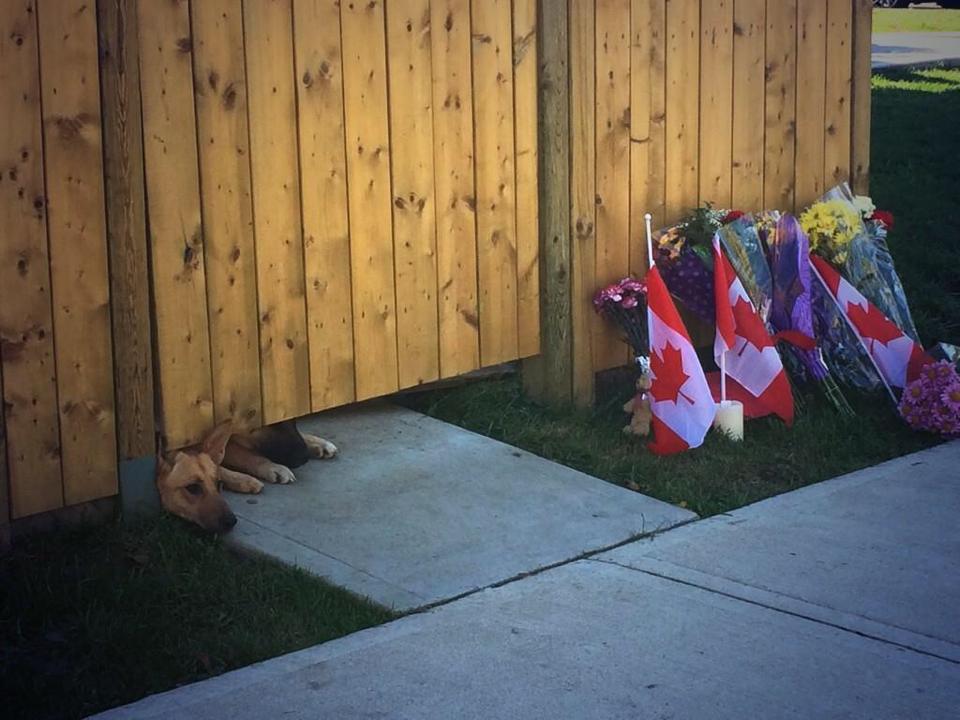 cpl cirillo dogs.jpg