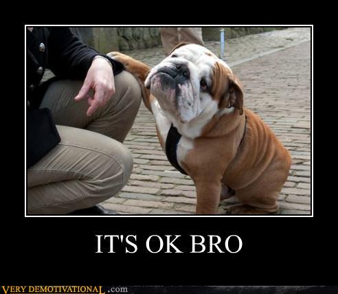 demotivational-posters-its-ok-bro.jpg