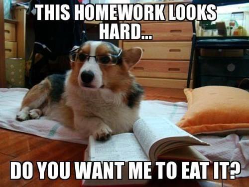 Eat Hard Homework.jpg