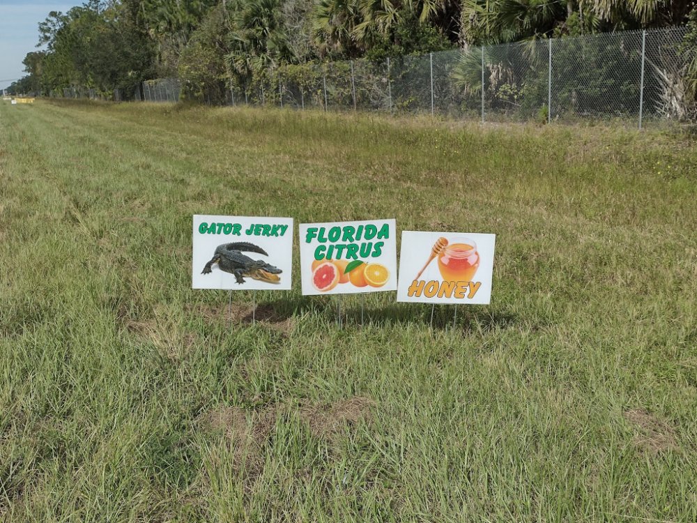 florida triptych.jpg