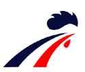 France_men's_national_ice_hockey_team_Logo.png
