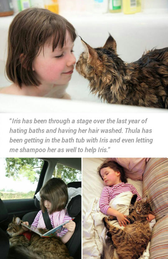 funny-bath-girl-autistic-cat-help.jpg