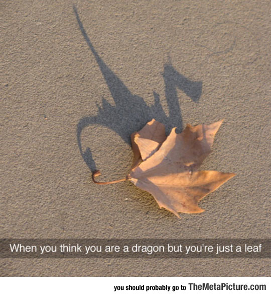 funny-leaf-shadow-dragon.jpg