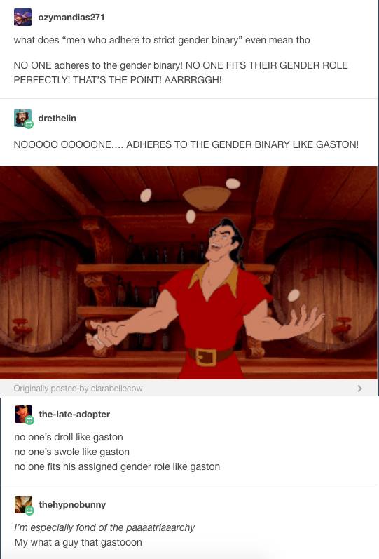 Gaston fits the gender binary.jpg