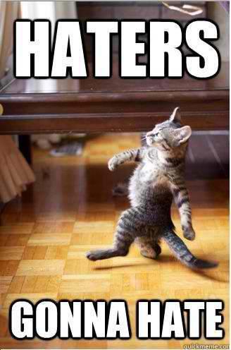 Haters Cat.jpg