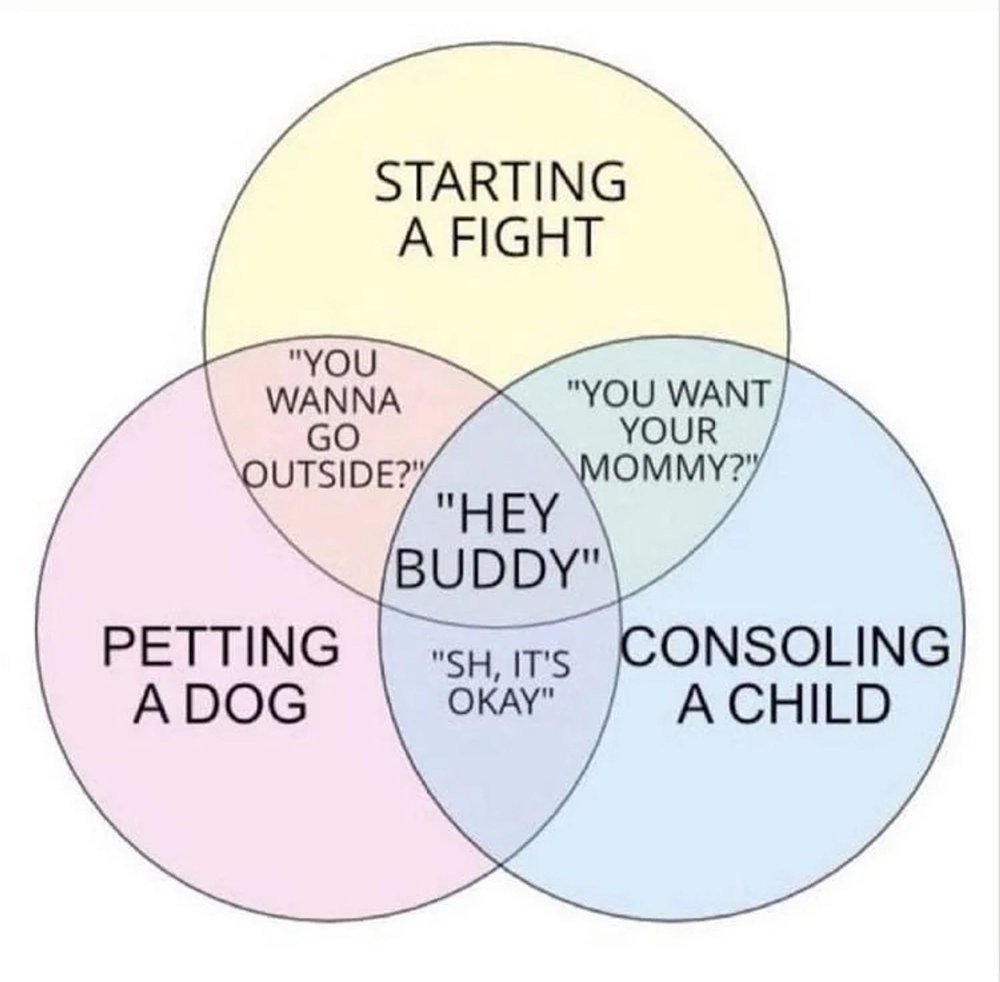 Hey Buddy venn diagram.jpg