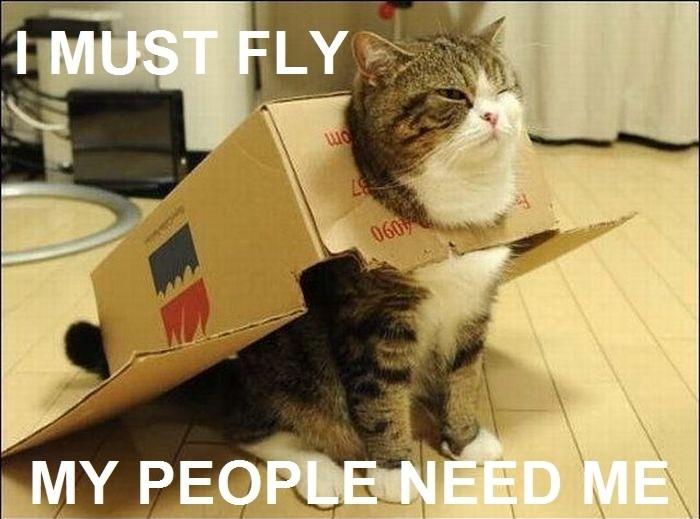 i-must-fly-my-people-need-me603.jpg