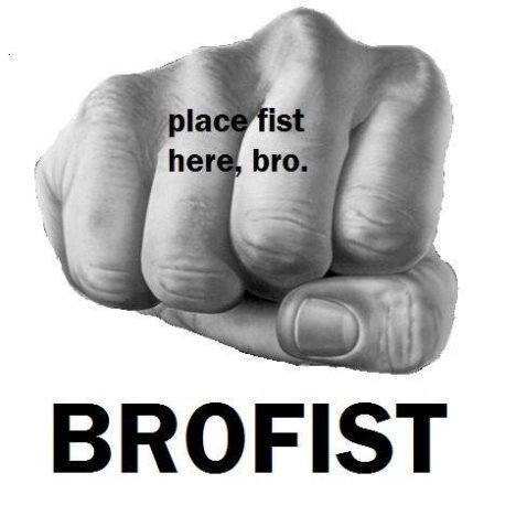 internet-bro-fist.jpg