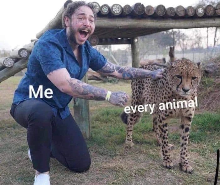 Me with every animal.jpg