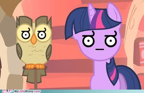 my-little-pony-friendship-is-magic-brony-wat.jpg