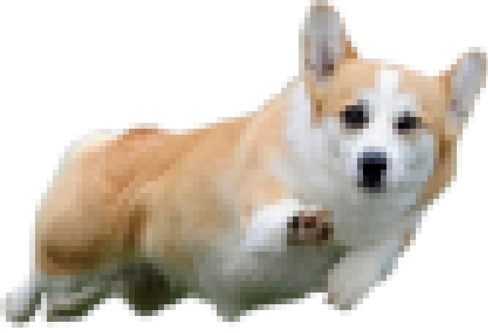 pixel corgi.jpg