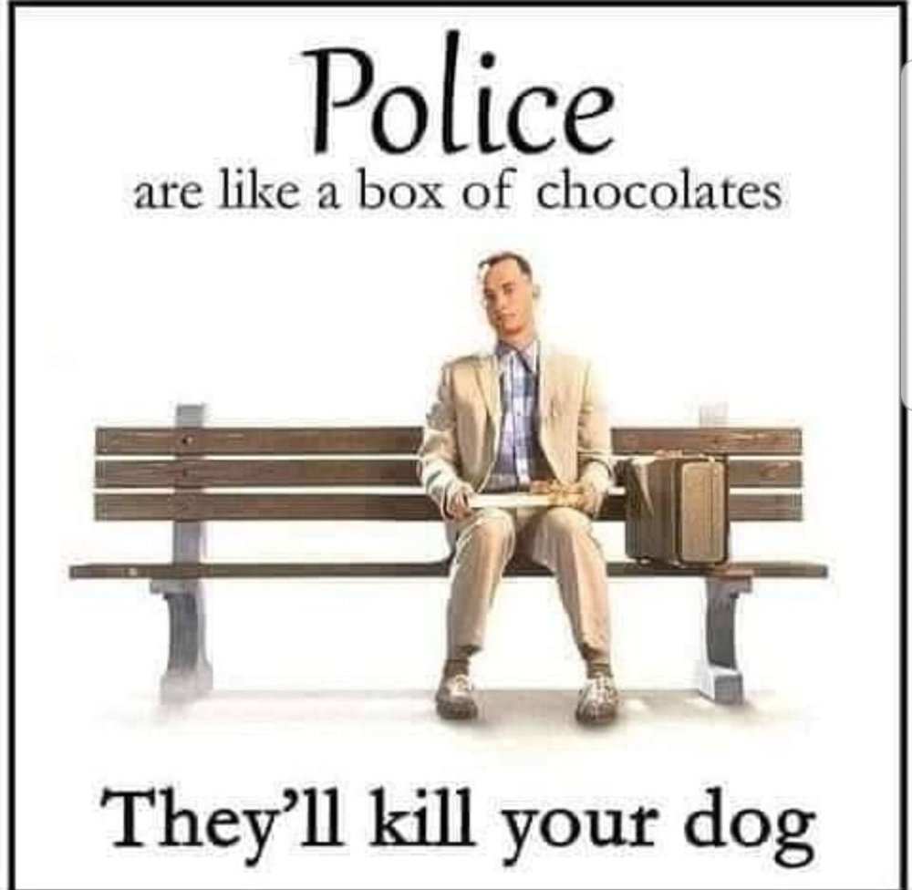 Police are like a box of chocolates _ they'll kill your dog.jpg