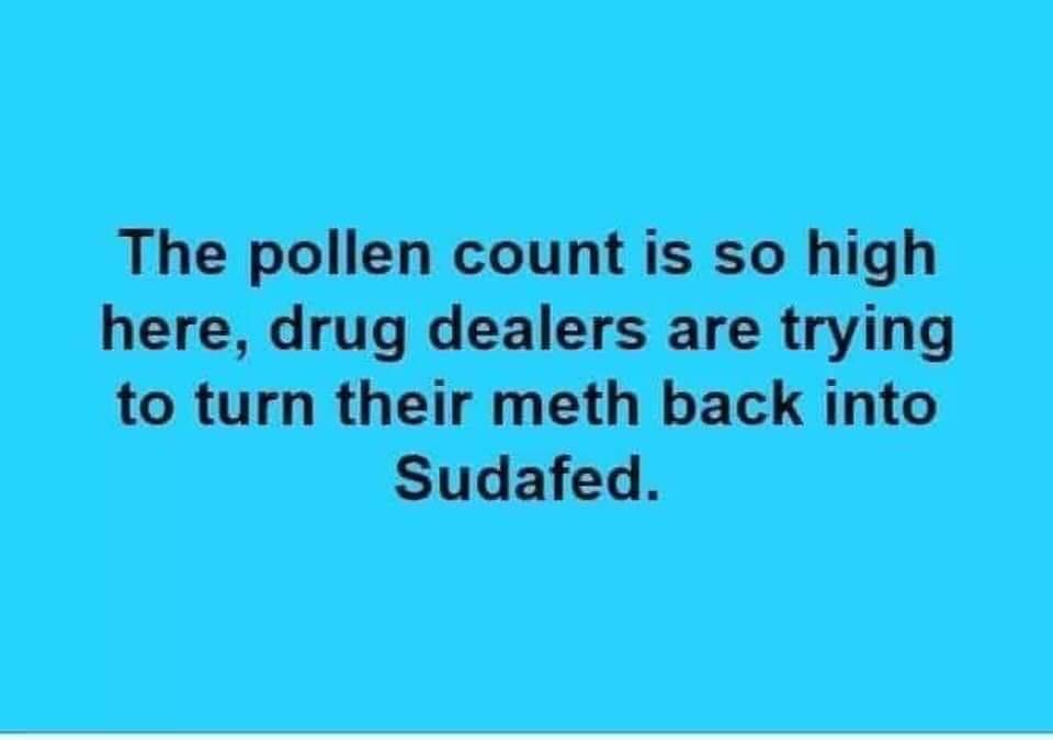 Pollen count so high.jpeg