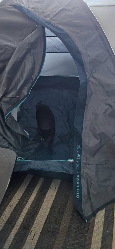 Ruff Tent.jpg