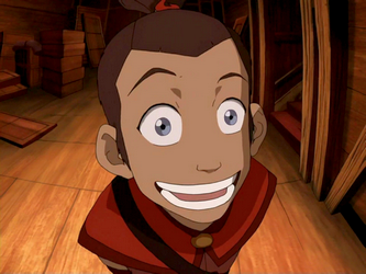 Sokka_looking_goofy.png