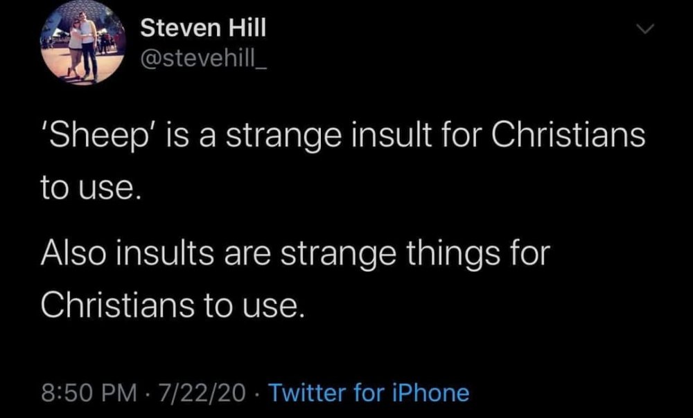 Strange for Christians to use insults.jpg