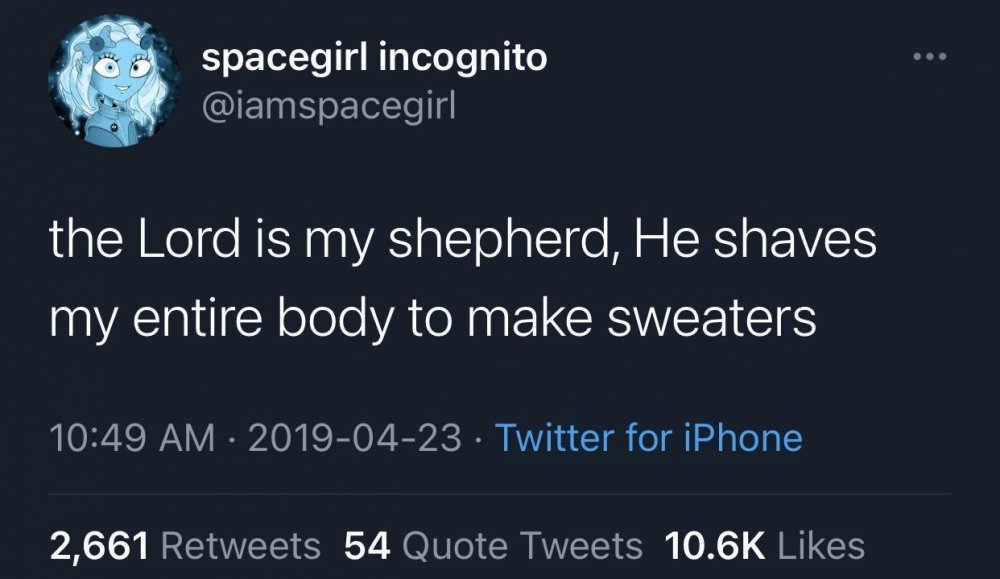 The Lord is my Shepherd _ he makes sweaters.jpeg