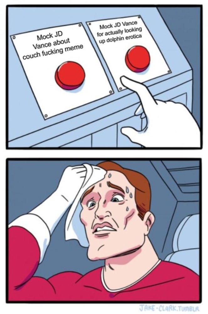 Tough decision about what to mock JD Vance about.jpg