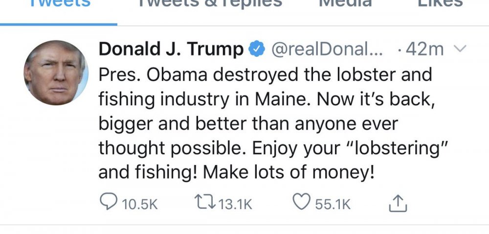 Trump is obsessed with lobsters and Obama.jpg