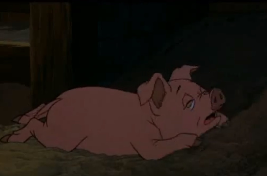 wilbur crying.jpg