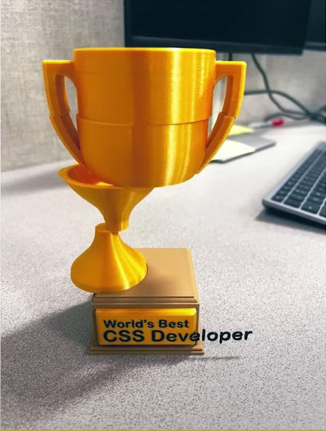 World's Best CSS Developer trophy.png