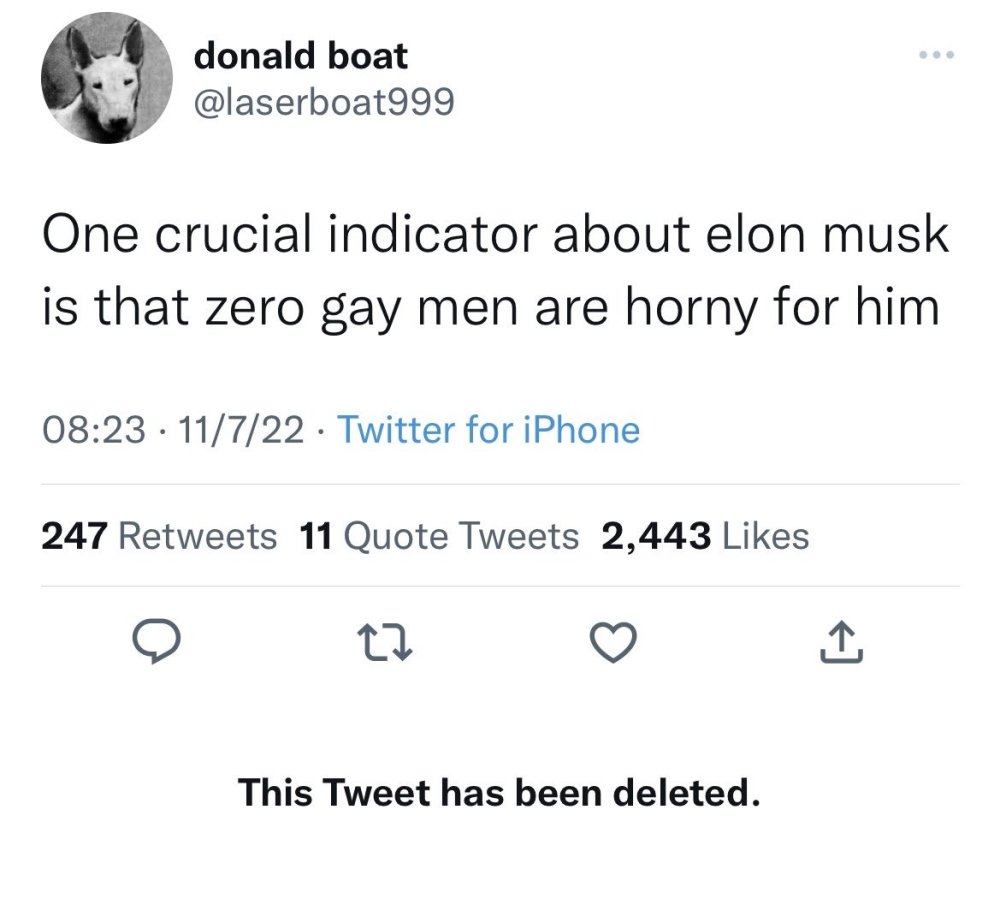 Zero gay men are gay for Elon Musk.jpg